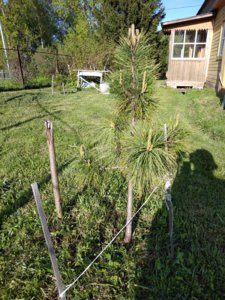 IMG_20180511_174002.jpg