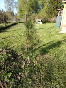 IMG_20180511_174013.jpg