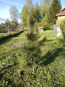IMG_20180511_174022.jpg