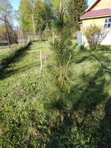 IMG_20180511_174034.jpg
