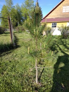 IMG_20180511_174044.jpg