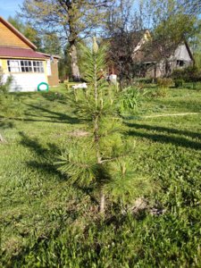 IMG_20180511_174104.jpg