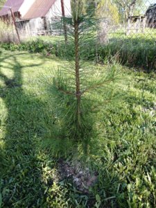 IMG_20180511_174412.jpg