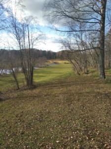IMG_20181020_142253.jpg