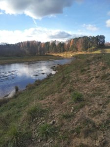 IMG_20181020_142659.jpg