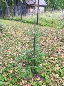 IMG_20180915_141524.jpg