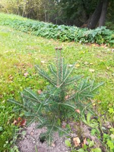 IMG_20180915_142351.jpg