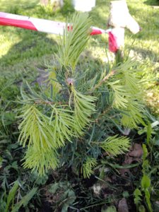 IMG_20180511_174532.jpg