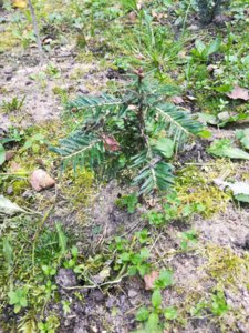 IMG_20180915_141833.jpg