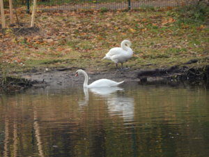 DSCN9018.JPG