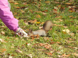 DSCN9031.JPG