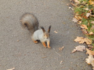 DSCN9038.JPG