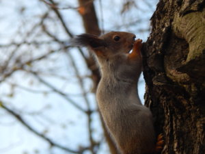 DSCN9049.JPG
