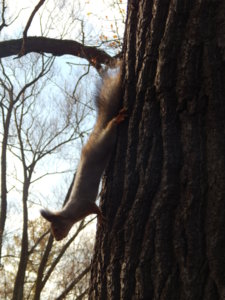 DSCN9062.JPG