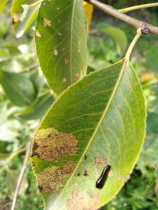 IMG_20180909_155649.jpg