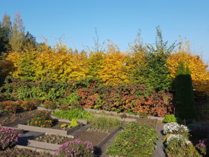 20181011_103459.jpg