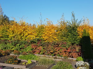 20181011_103517.jpg