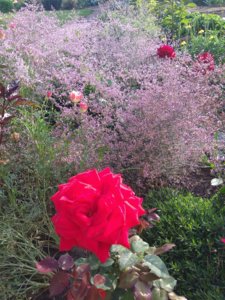 IMG_20180907_171905.jpg