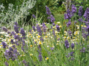 DSCN4703.JPG