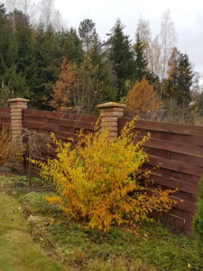 20181028_155259.jpg