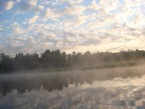 DSC01803.JPG