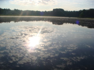 DSC01806.JPG