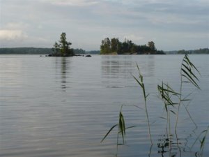 P1000349 (Small).jpg