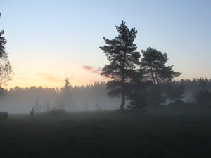 DSC00398.JPG