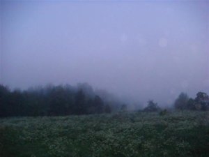 DSC01684 (Small).JPG