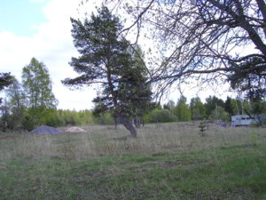 SANY0027.JPG