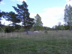 SANY0028.JPG