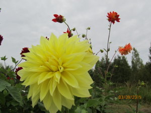 IMG_3183.JPG