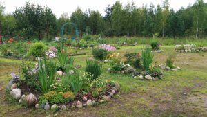 вид с крыльца.jpg
