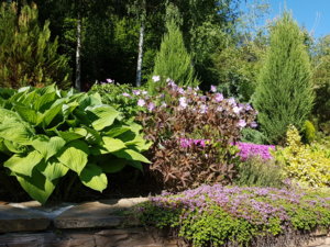 20170616_094125.jpg