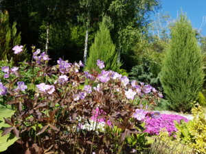 20170616_094139.jpg