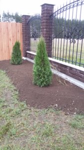 20171015_122635.jpg