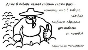 чапек.jpg