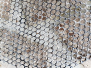 20170607_163048.jpg