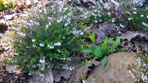 PIC_0360.JPG