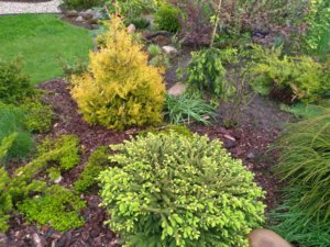 IMG_20170531_193730.jpg