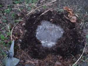 DSC00629.JPG