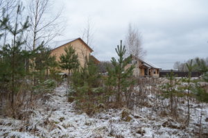 DSC_0196.JPG