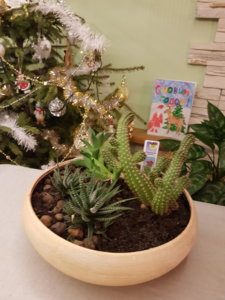 20180124_201223.jpg