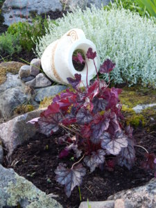 DSCN4876.JPG