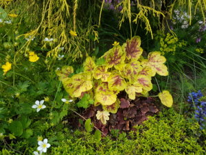 20170616_103431.jpg