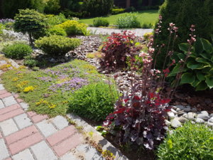 20170616_103008.jpg