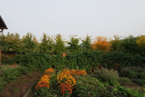 IMG_2712.JPG