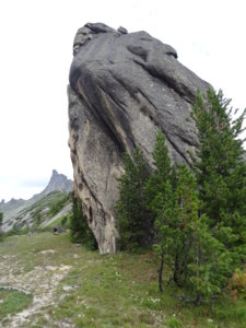 DSC06291.jpg
