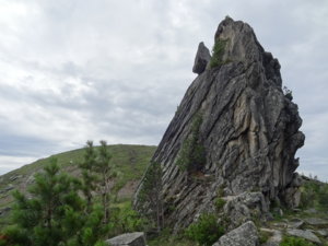 DSC06301.jpg