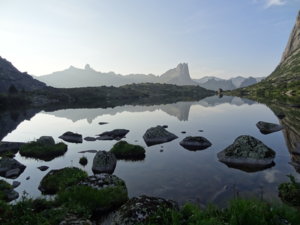 DSC06010.jpg